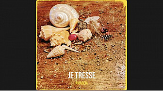 Je tresse - Amareia