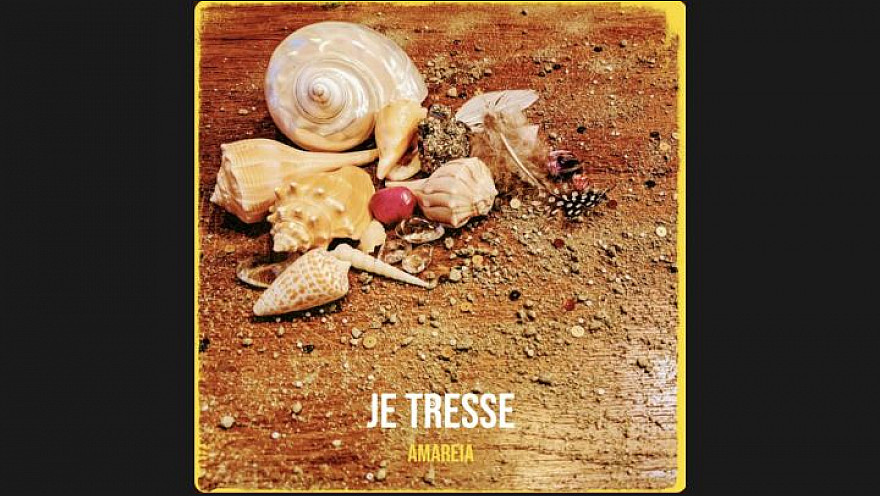 Je tresse - Amareia